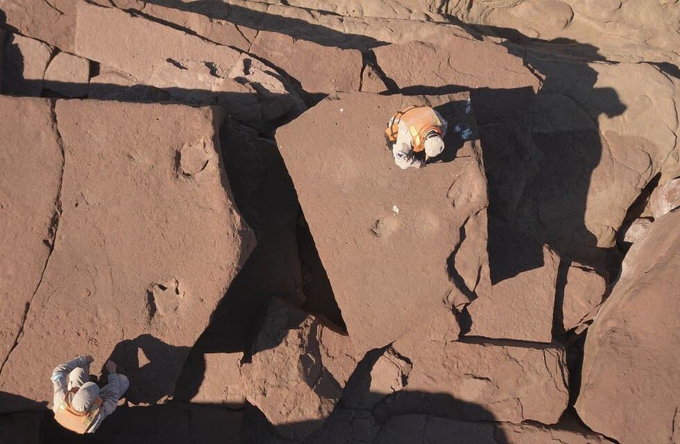 Encontraron nuevas huellas de un dinosaurio carnívoro en las costas del lago Ramos Mexía