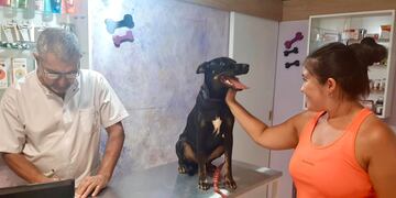 Ricardo González, veterinario.