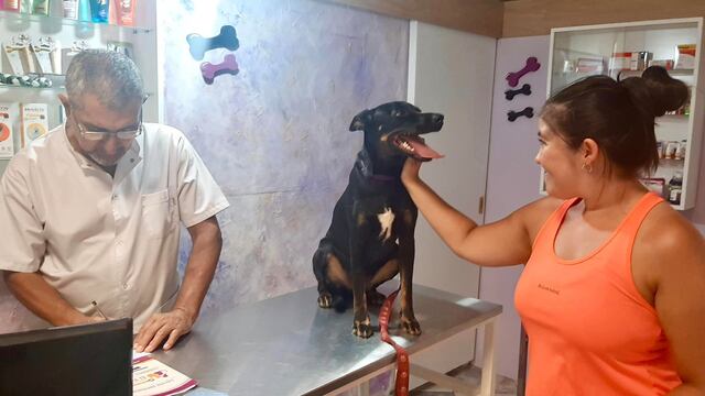 Ricardo González, veterinario.