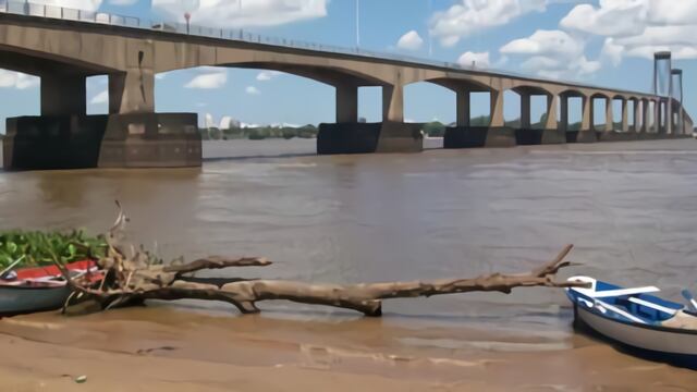 La declaración contempla como objetivo primordial regularizar y actualizar la situación del Ecosistema del Río Paraná.