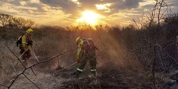 Bomberos sofocaron un incendio que quemó 2 hectáreas de Monte Autóctono en Arroyito