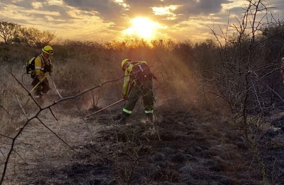 Tristeza: un incendio arrasó con 2 hectáreas de Bosque Autóctono en Arroyito