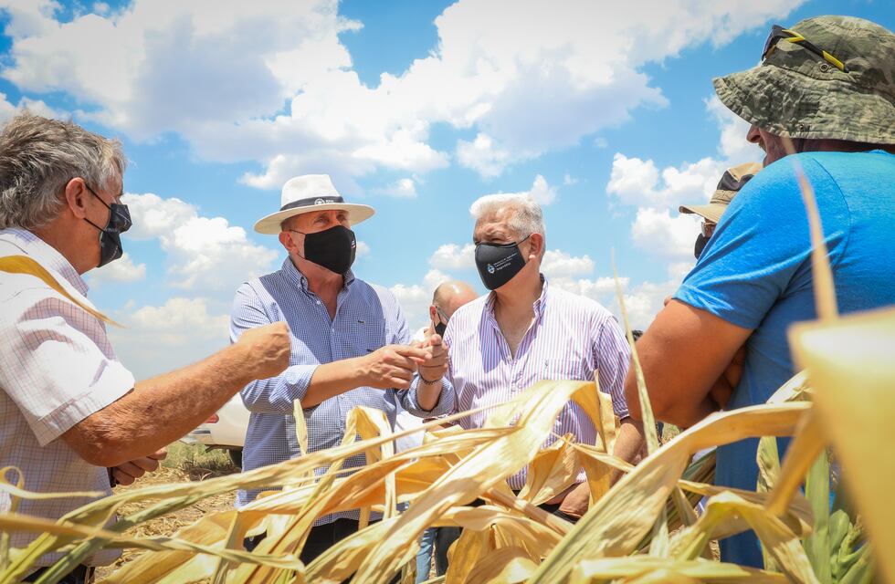 Se actualizará el fondo de emergencia por la sequía que afecta a los campos