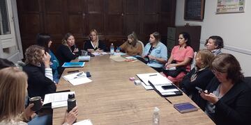 La Mesa de Gestión de Salud Mental presentó el Recursero 2024 de instituciones  de Tres Arroyos