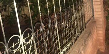 Puerto Iguazú: terminó colgado de sus genitales en las rejas de una vivienda.