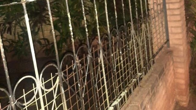Puerto Iguazú: terminó colgado de sus genitales en las rejas de una vivienda.
