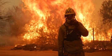 Solo durante el 2020 se quemaron nada menos que 340 mil hectáreas. (La Voz/Archivo)