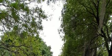 La Municipalidad informó que el sector quedó sin asfalto porque falta la instalación de un desagüe. (@acanepa_)