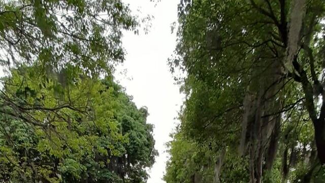 La Municipalidad informó que el sector quedó sin asfalto porque falta la instalación de un desagüe. (@acanepa_)