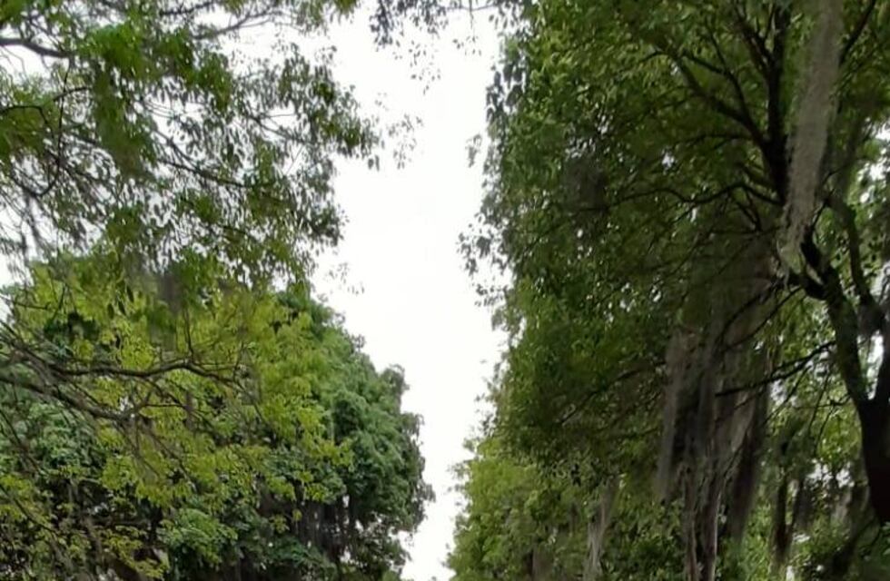 Elecciones 2021: denunció que no pavimentaron frente a su casa por opositor