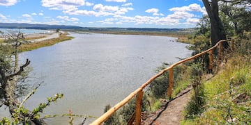 Se trabaja en la etapa de construcción y adecuación de un sendero interpretativo para la observación de aves dentro de la Reserva Municipal Desembocadura del Río Turbio.