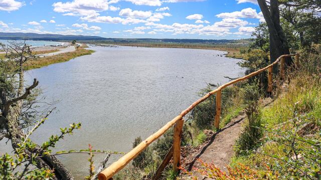 Se trabaja en la etapa de construcción y adecuación de un sendero interpretativo para la observación de aves dentro de la Reserva Municipal Desembocadura del Río Turbio.