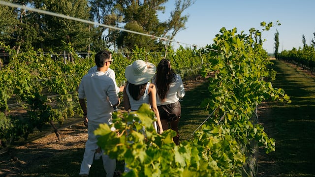 Semana de la Vendimia en Gualeguaychú