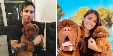 No le pongas Firulais: 7 nombres que los famosos eligieron para sus perros.