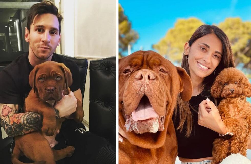 Día del perro: 7 nombres que famosos argentinos eligieron para sus mejores amigos