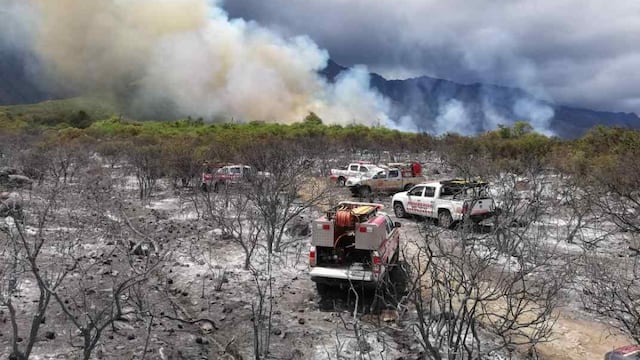 Los bomberos combaten un importante foco ígneo en Salsacate, al oeste de Córdoba.