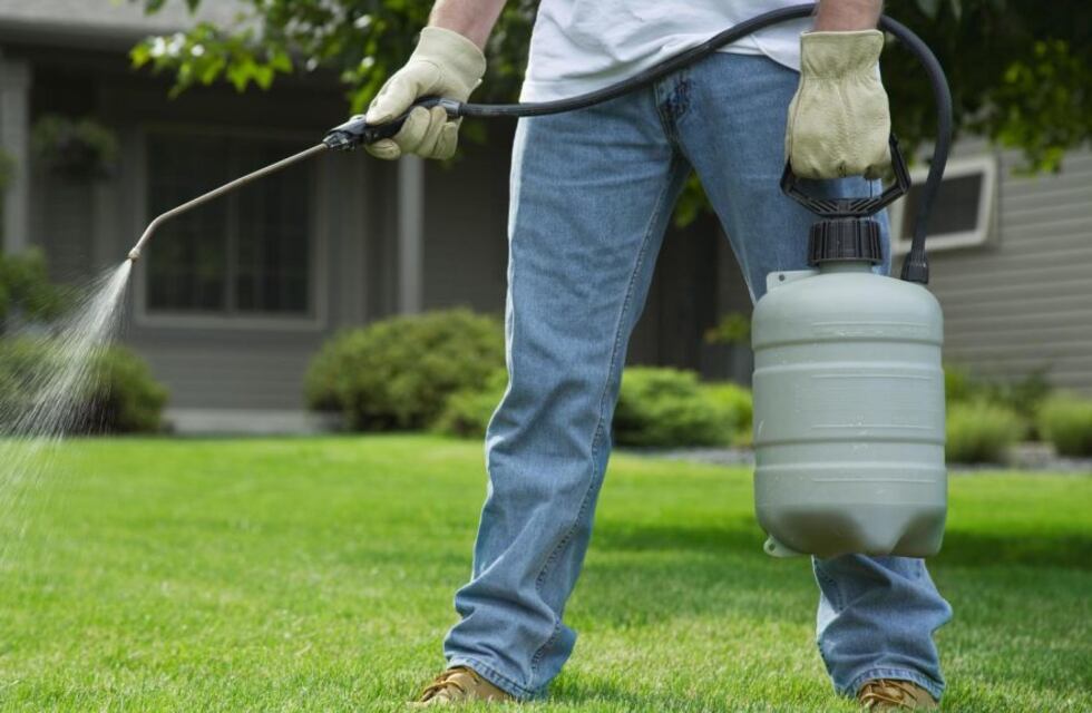 Justo Daract: fumigaron la Municipalidad y no avisaron a los empleados