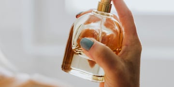 Floral y amaderado: el perfume árabe femenino más buscado en Mercado Libre para regalar en San Valentín.