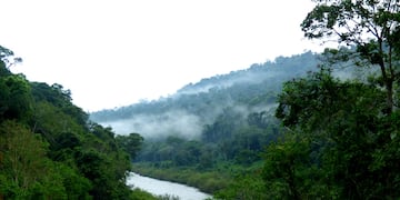 Nuevamente, se habilita el ingreso al Parque Provincial Saltos del Moconá.