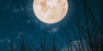 Superluna de octubre 2025: el ritual más efectivo para atraer dinero y prosperidad, según tu signo.
