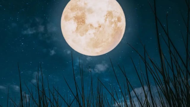 Superluna de octubre 2025: el ritual más efectivo para atraer dinero y prosperidad, según tu signo.