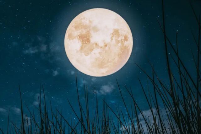 Superluna de octubre 2025: el ritual más efectivo para atraer dinero y prosperidad, según tu signo.