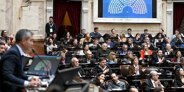 Después del “callate, gato”, en Diputados repudian los insultos y buscan apaciguar los debates  (Prensa Diputados)