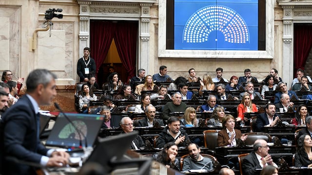 Después del “callate, gato”, en Diputados repudian los insultos y buscan apaciguar los debates  (Prensa Diputados)