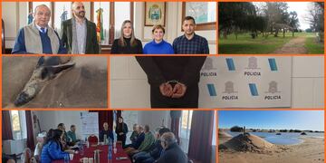 Resumen Semanal