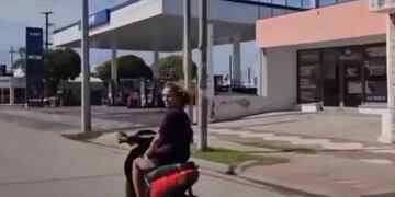 Viajó en su moto con su lora en el manubrio y sorprendió a los demás conductores.