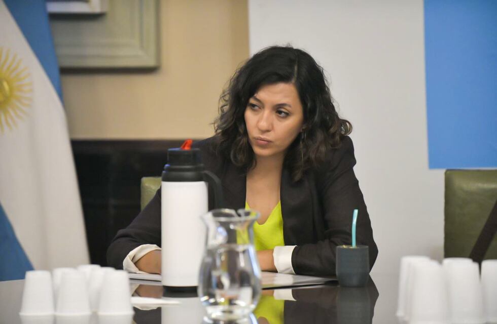 Leila Chaher dice que el plan de Milei no es el prometido “castigo a la casta”