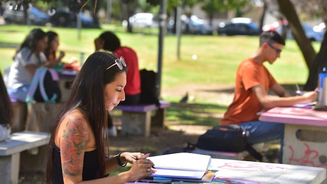 El animal ataca a personas en Ciudad Universitaria. (José Hernández / La Voz)