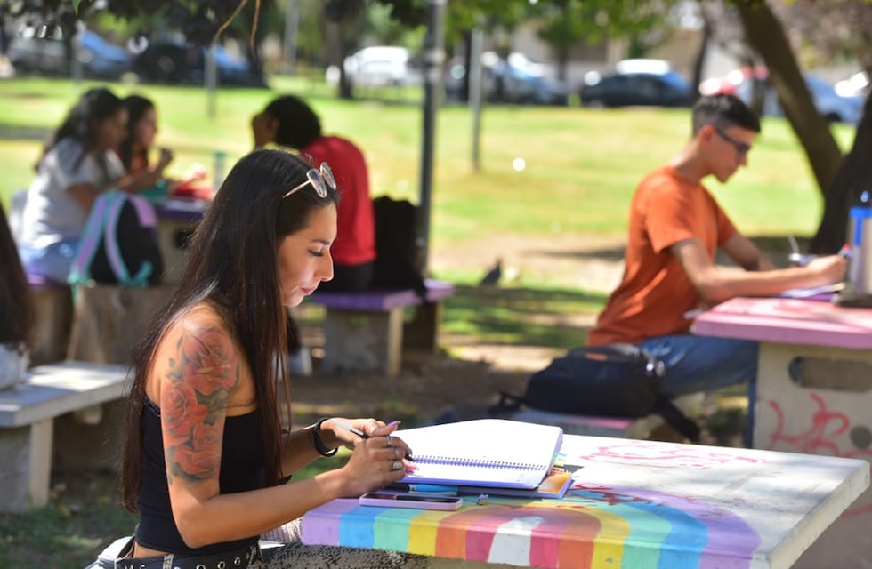 Un pájaro se volvió viral por atacar a estudiantes en Córdoba: el video del momento