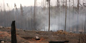 Incendio en la Patagonia.