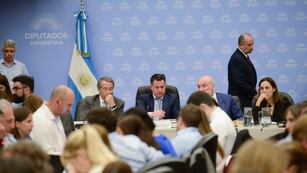 Se firmó dictamen de la "ley ómnibus" en el plenario de comisiones de Diputados. Foto: HCDN