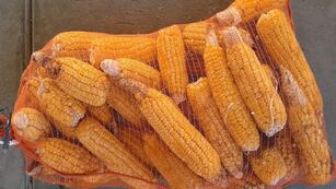 Para la Sociedad Rural de Rafaela, la baja de retenciones es “una señal muy importante para el sector”