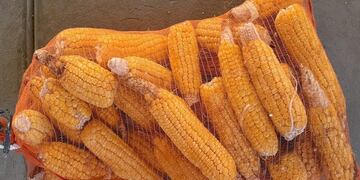 Para la Sociedad Rural de Rafaela, la baja de retenciones es “una señal muy importante para el sector”