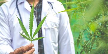 Un nuevo paso para el cannabis medicial en nuestro país.