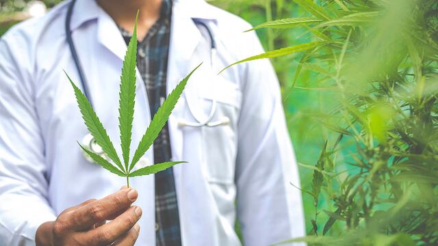 Un nuevo paso para el cannabis medicial en nuestro país.