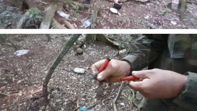 Detectan presencia de cazadores furtivos en Campo Grande.