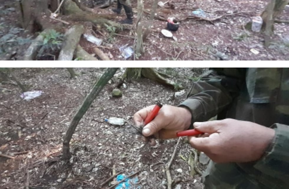 Detectan presencia de cazadores furtivos en Campo Grande