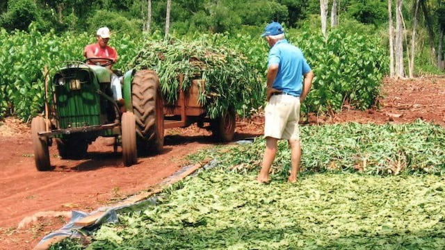 Chacra de Puerto Libertad