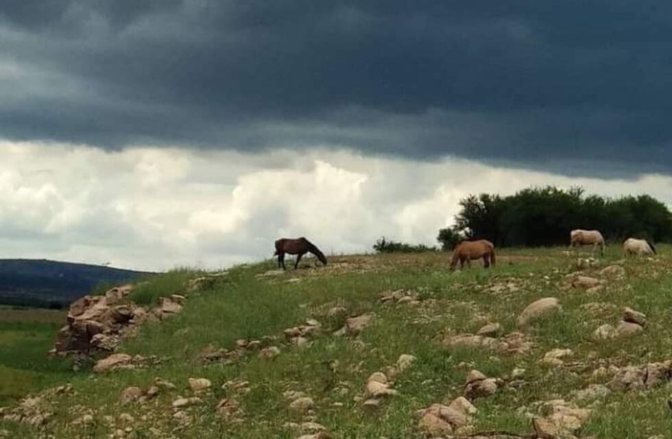 Lluvia torrencial en Traslasierra pone en alerta al resto de las localidades serranas