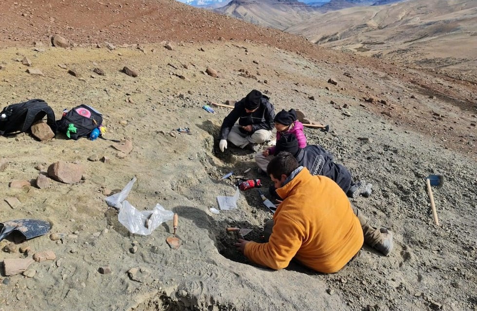 Hallazgo histórico: presentaron a Maip macrothorax, el nuevo dinosaurio carnívoro encontrado en Santa Cruz