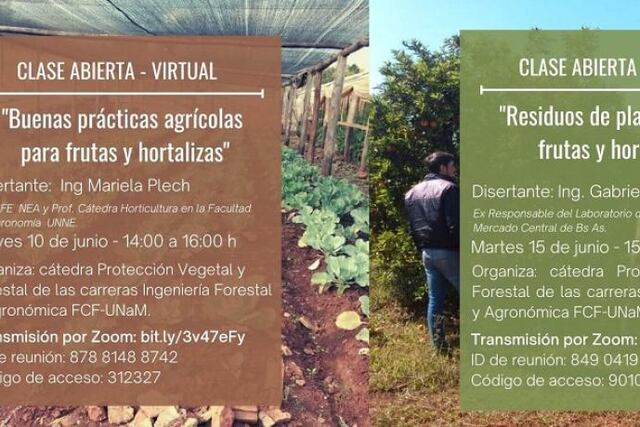 Las charlas son gratuitas.