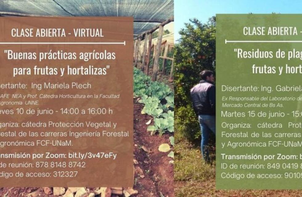 Eldorado: invitan a 2 clases abiertas sobre prácticas y residuos de plaguicidas en frutas y hortalizas