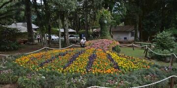 Montecarlo: preparativos para la Fiesta Nacional de la Orquídea y Provincial de la Flor.