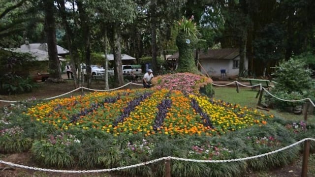 Montecarlo: preparativos para la Fiesta Nacional de la Orquídea y Provincial de la Flor.