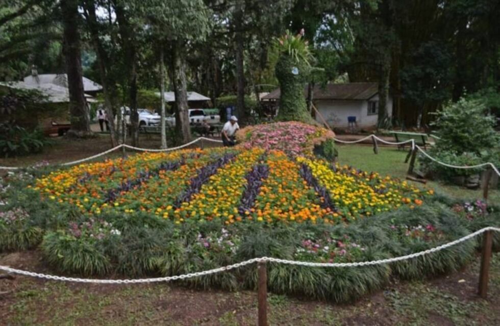 Montecarlo: preparativos para la Fiesta Nacional de la Orquídea y Provincial de la Flor