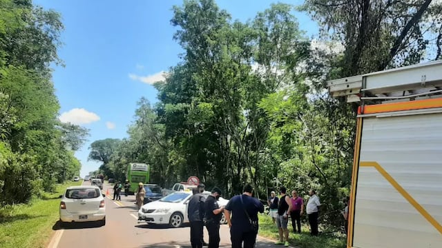 Choque en cadena en la ruta 12 por evitar pisar a un lagarto.